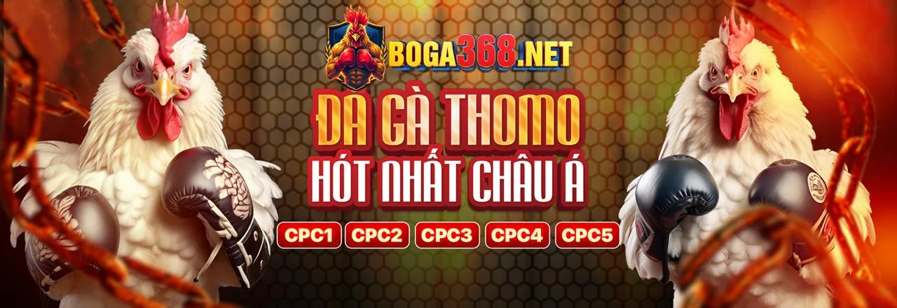 Tài nguyên toàn diện cho người chơi tải game Choang
